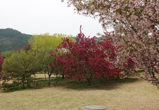National Botanical Garden Beijing
